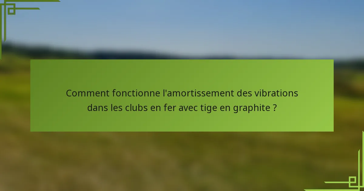 Comment fonctionne l'amortissement des vibrations dans les clubs en fer avec tige en graphite ?