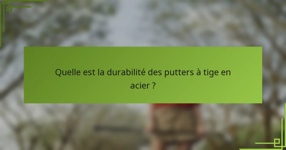 Quelle est la durabilité des putters à tige en acier ?