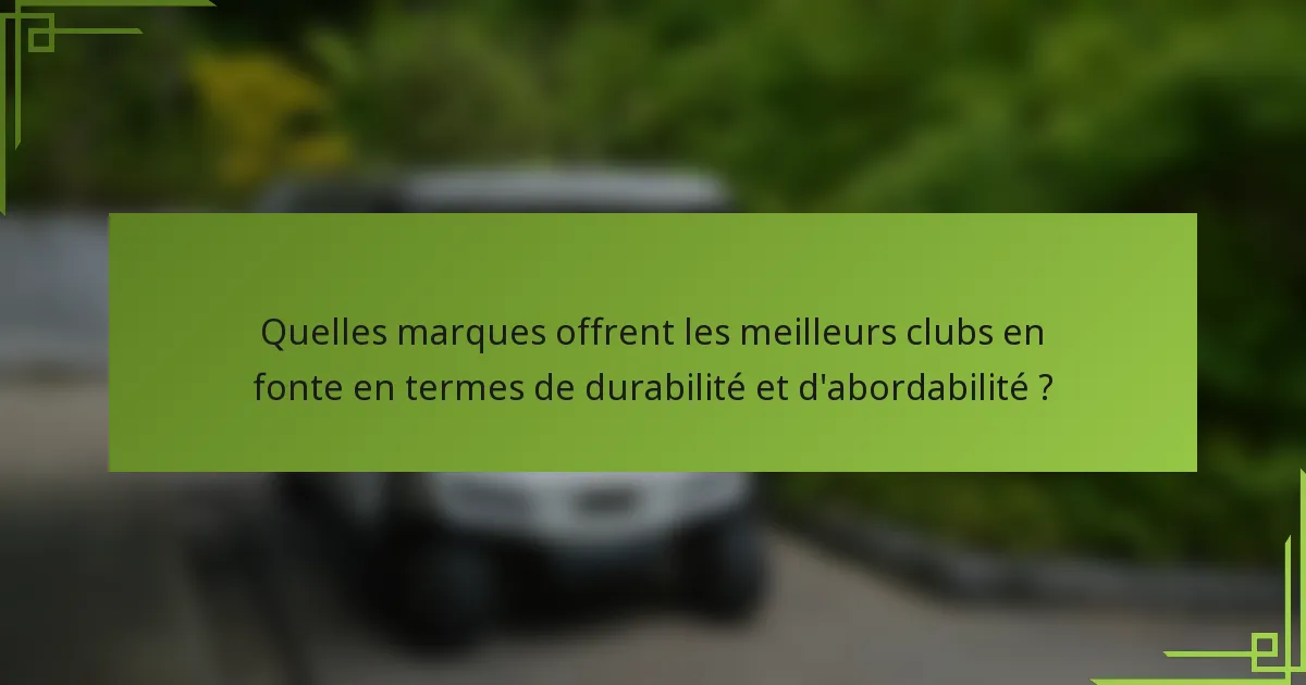 Quelles marques offrent les meilleurs clubs en fonte en termes de durabilité et d'abordabilité ?