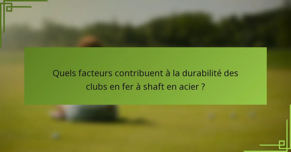 Quels facteurs contribuent à la durabilité des clubs en fer à shaft en acier ?