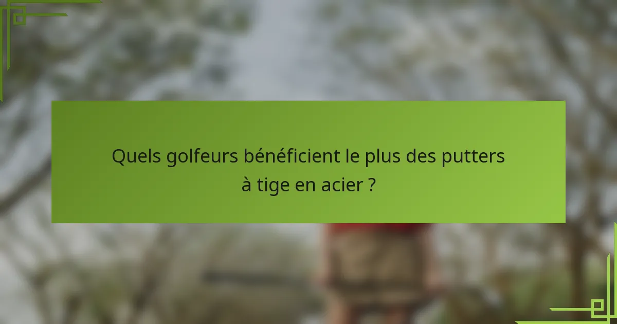 Quels golfeurs bénéficient le plus des putters à tige en acier ?