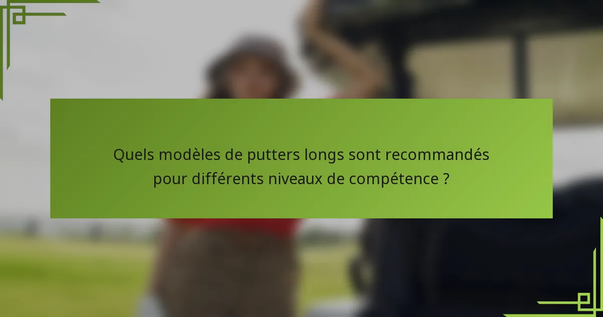 Quels modèles de putters longs sont recommandés pour différents niveaux de compétence ?