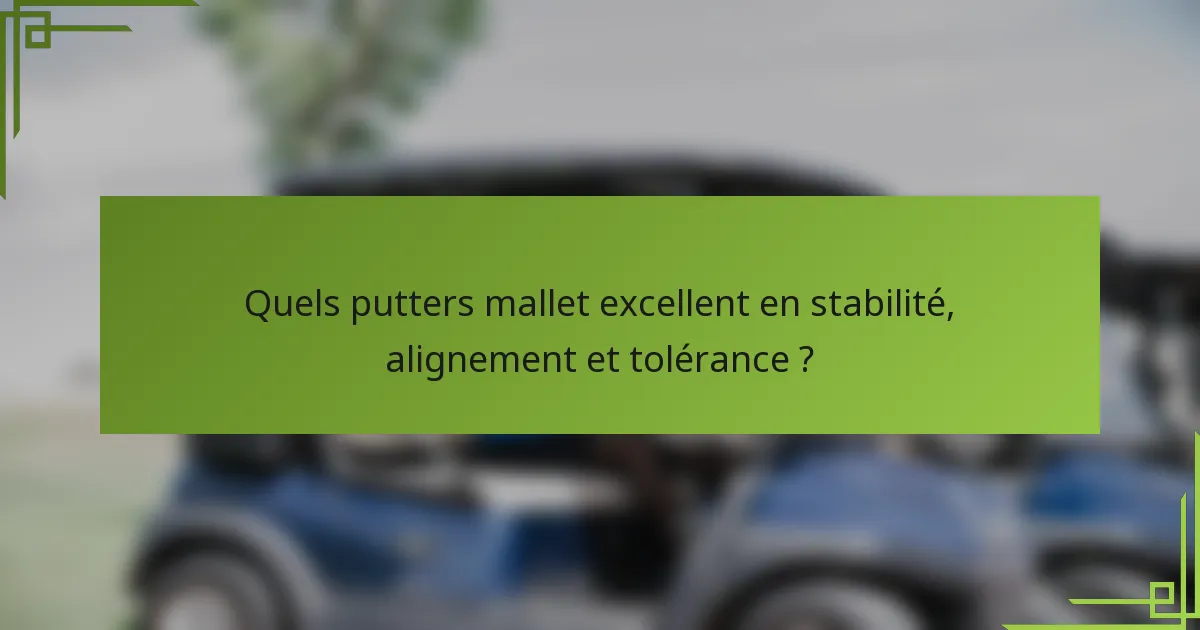 Quels putters mallet excellent en stabilité, alignement et tolérance ?